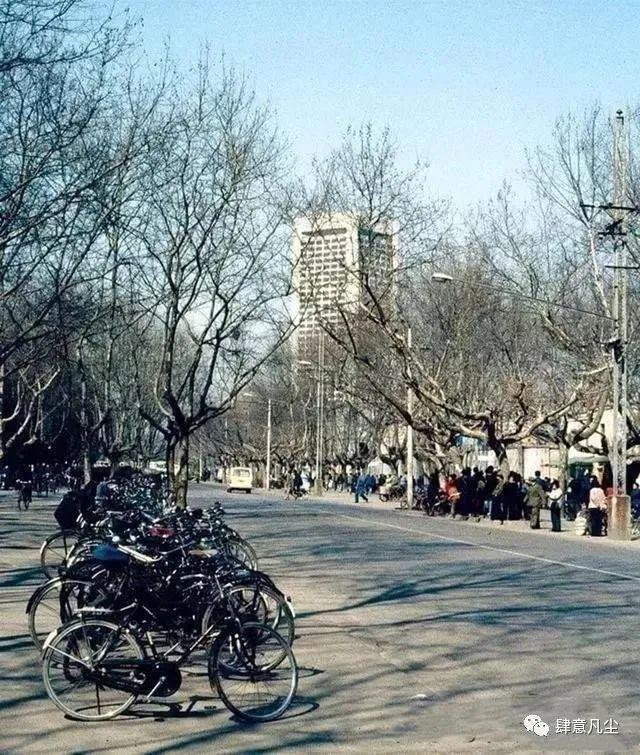 苏南京鹤立鸡群的金陵饭店是南京人骄傲瓦力棋牌试玩老照片：1983年的江(图8)